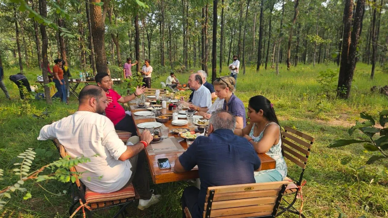 Guests at a long table set in a forest clearing