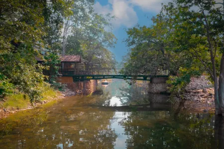 The river inside the property with a footbridge and forest on both banks